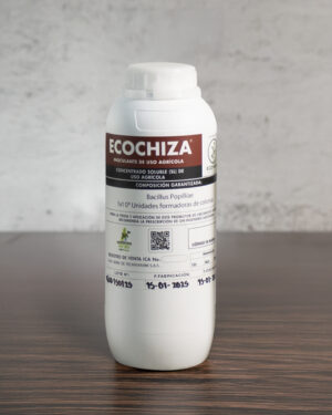 ECOCHIZA